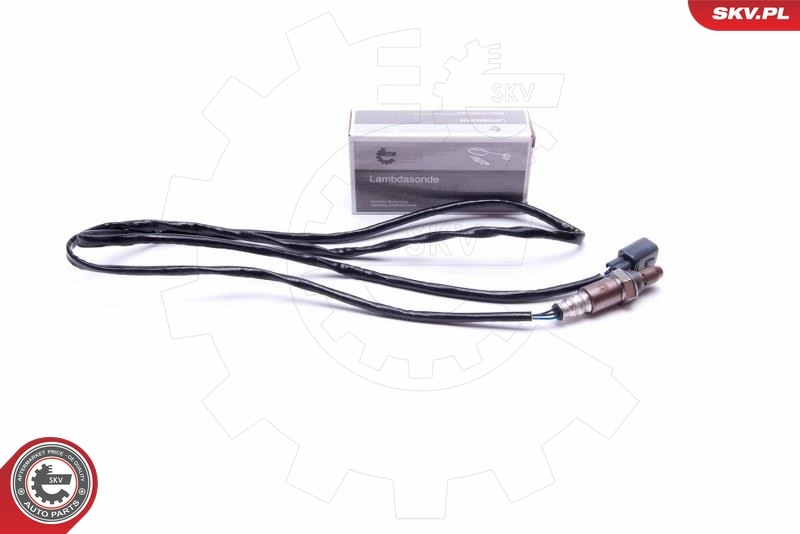 Oxygen Sensor